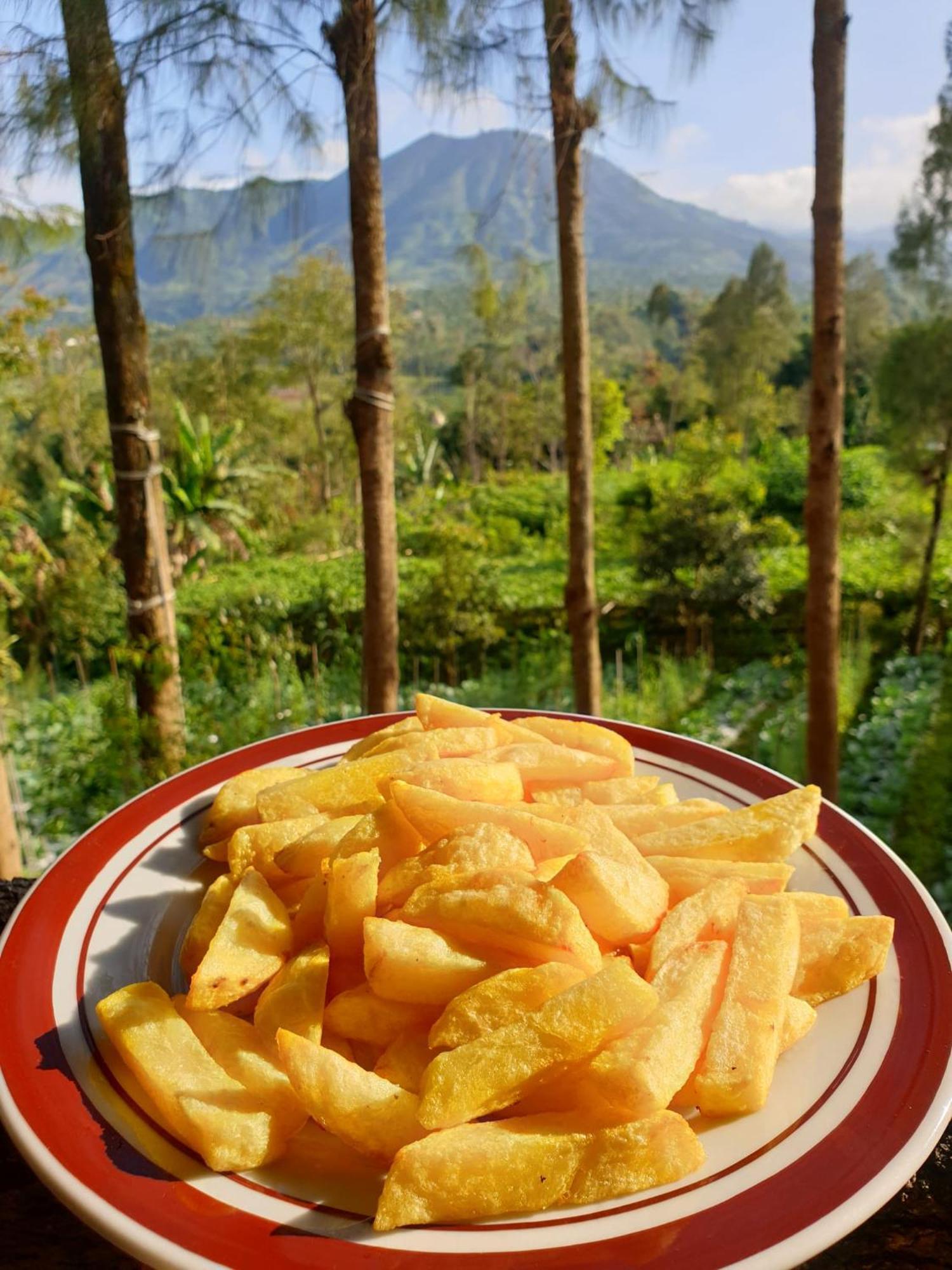 Harumi Dieng Wonosobo Quarto foto