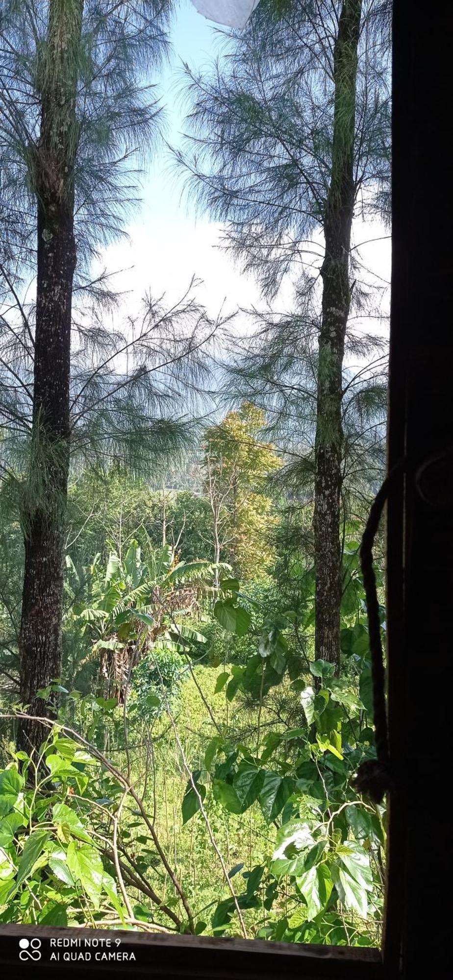 Harumi Dieng Wonosobo Quarto foto