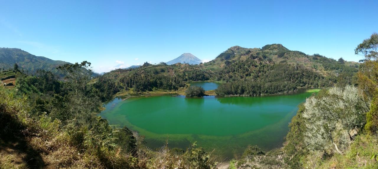 Harumi Dieng Wonosobo Exterior foto