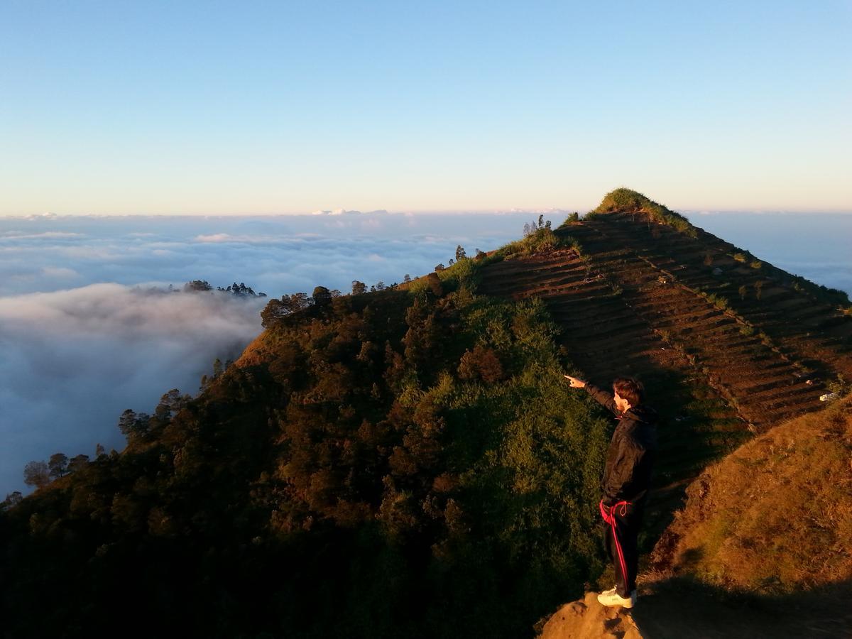 Harumi Dieng Wonosobo Exterior foto