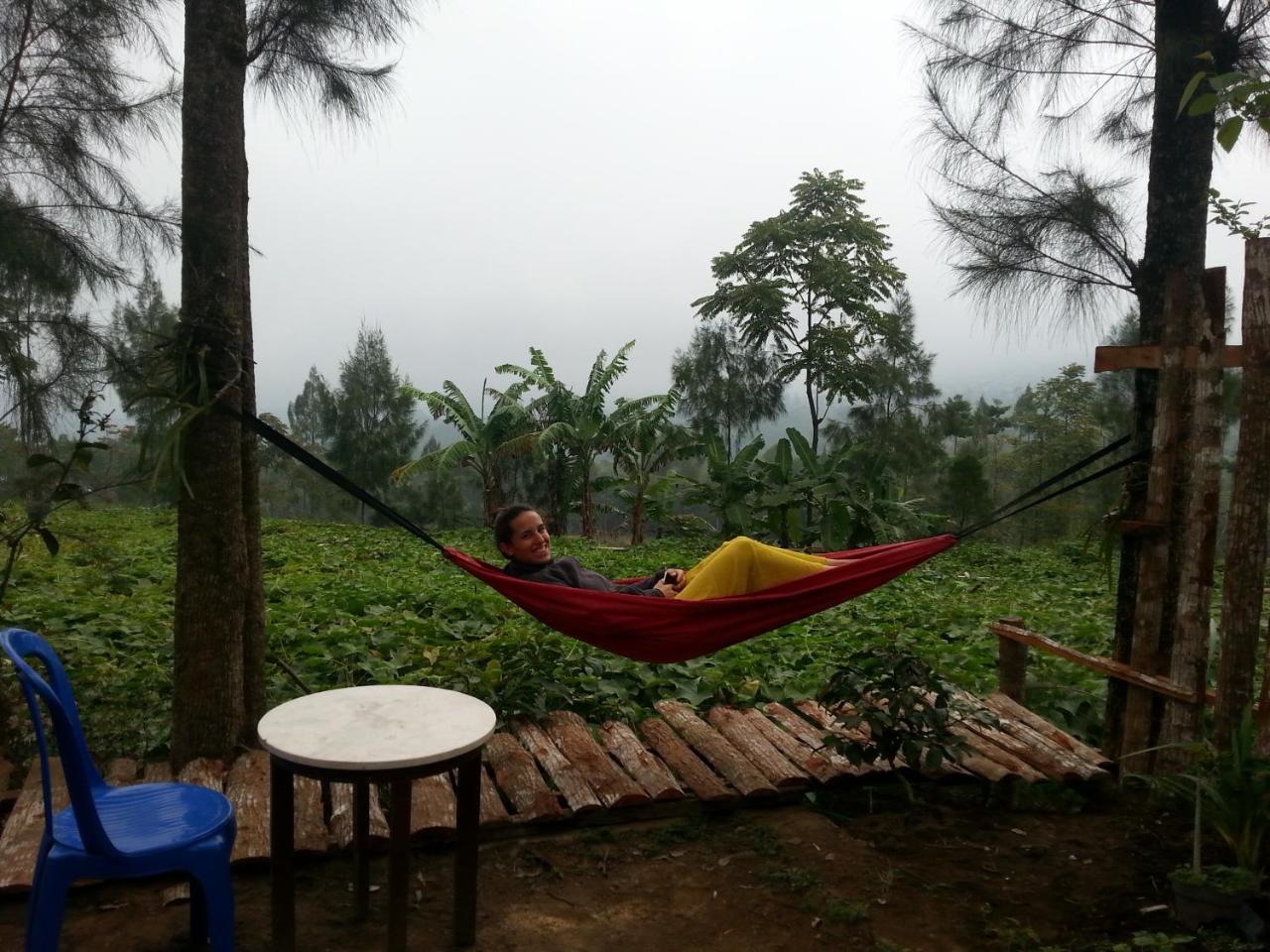 Harumi Dieng Wonosobo Exterior foto