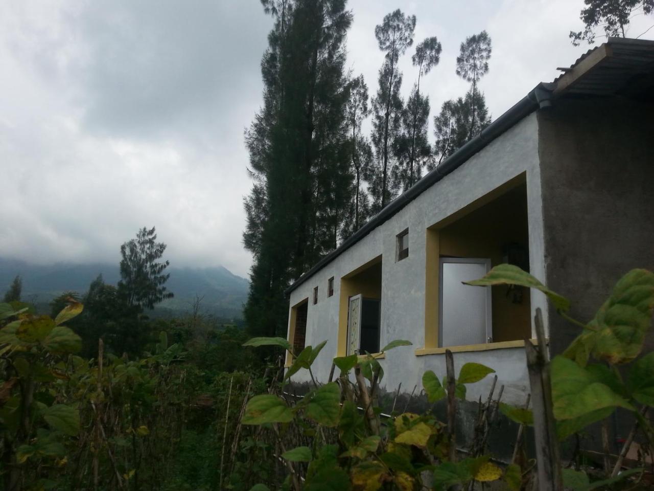 Harumi Dieng Wonosobo Exterior foto